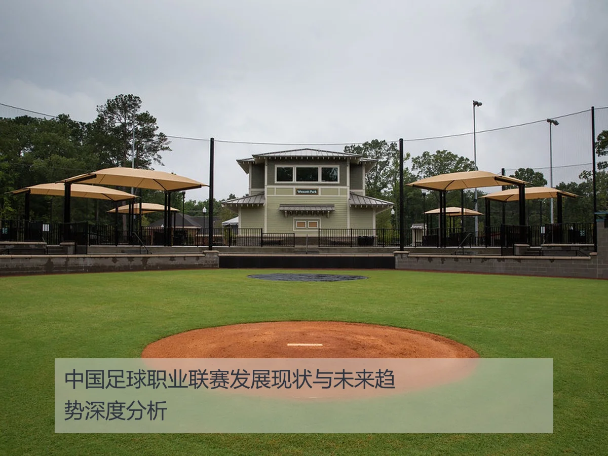 中国足球职业联赛发展现状与未来趋势深度分析