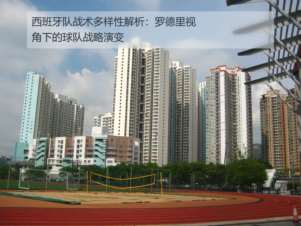 西班牙队战术多样性解析:罗德里视角下的球队战略演变
